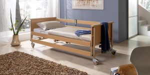 Dali Electric Nursing Bed