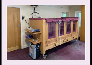 full bed with shelves pink